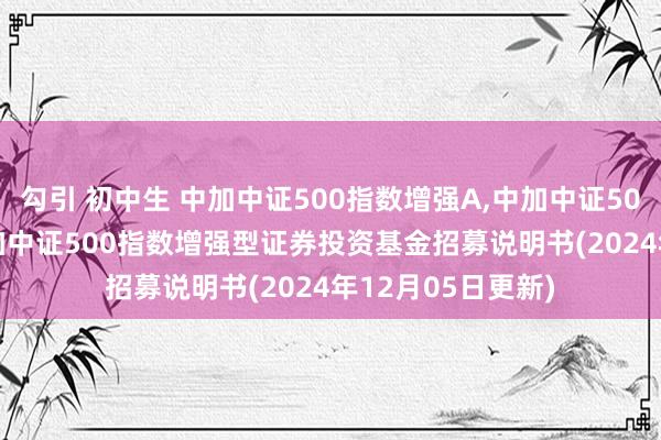 勾引 初中生 中加中证500指数增强A,中加中证500指数增强C: 中加中证500指数增强型证券投资基金招募说明书(2024年12月05日更新)