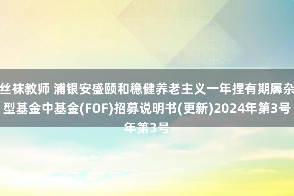 丝袜教师 浦银安盛颐和稳健养老主义一年捏有期羼杂型基金中基金(FOF)招募说明书(更新)2024年第3号