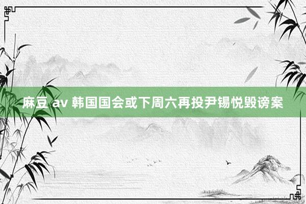 麻豆 av 韩国国会或下周六再投尹锡悦毁谤案