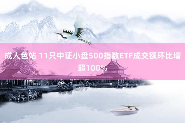 成人色站 11只中证小盘500指数ETF成交额环比增超100%