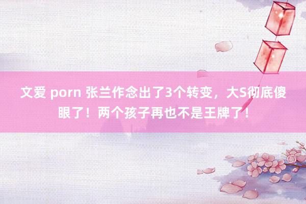 文爱 porn 张兰作念出了3个转变，大S彻底傻眼了！两个孩子再也不是王牌了！