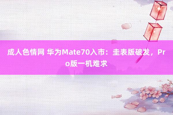 成人色情网 华为Mate70入市：圭表版破发，Pro版一机难求