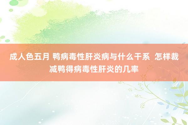 成人色五月 鸭病毒性肝炎病与什么干系  怎样裁减鸭得病毒性肝炎的几率