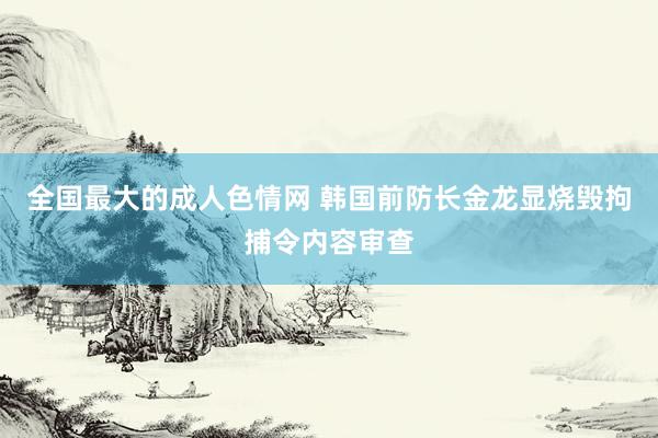 全国最大的成人色情网 韩国前防长金龙显烧毁拘捕令内容审查