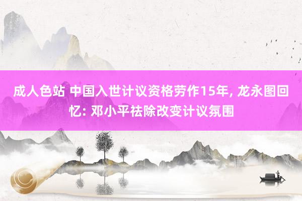 成人色站 中国入世计议资格劳作15年, 龙永图回忆: 邓小平祛除改变计议氛围