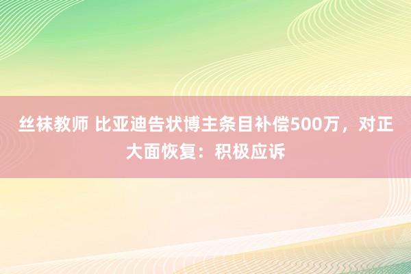 丝袜教师 比亚迪告状博主条目补偿500万，对正大面恢复：积极应诉