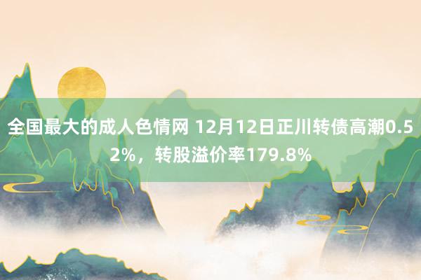 全国最大的成人色情网 12月12日正川转债高潮0.52%，转股溢价率179.8%