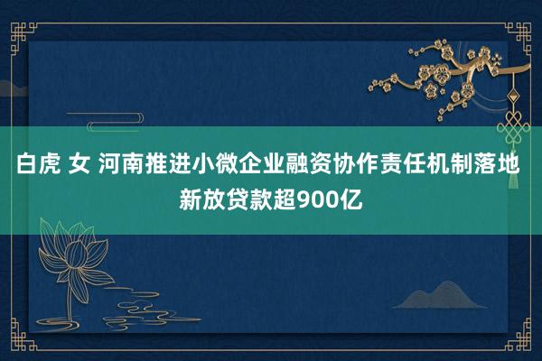 白虎 女 河南推进小微企业融资协作责任机制落地 新放贷款超900亿