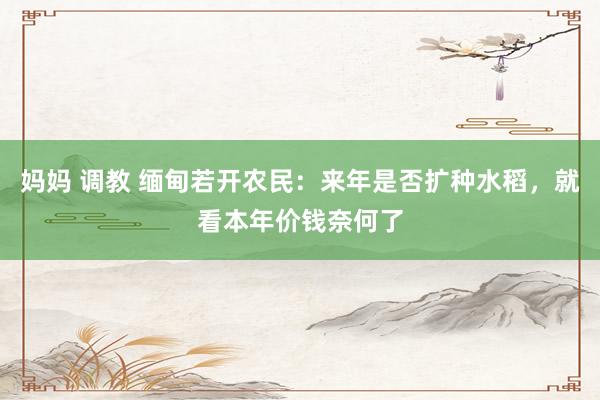 妈妈 调教 缅甸若开农民：来年是否扩种水稻，就看本年价钱奈何了