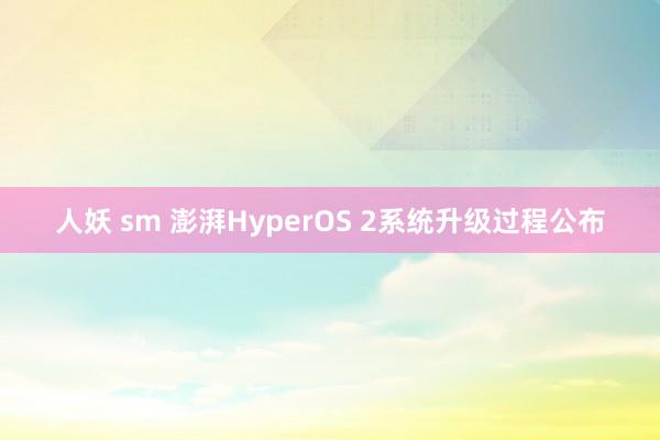 人妖 sm 澎湃HyperOS 2系统升级过程公布