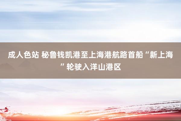 成人色站 秘鲁钱凯港至上海港航路首船“新上海”轮驶入洋山港区