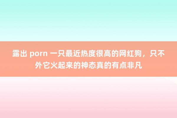 露出 porn 一只最近热度很高的网红狗，只不外它火起来的神态真的有点非凡