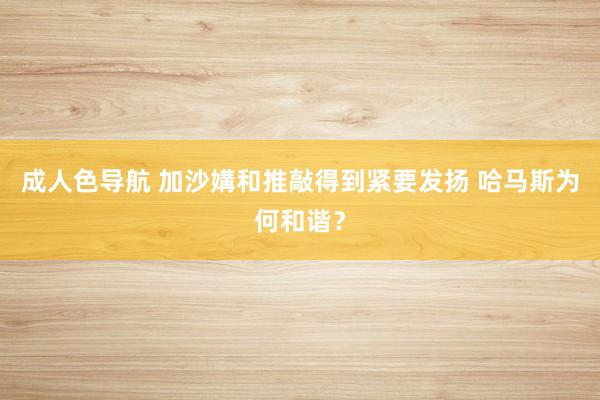 成人色导航 加沙媾和推敲得到紧要发扬 哈马斯为何和谐？