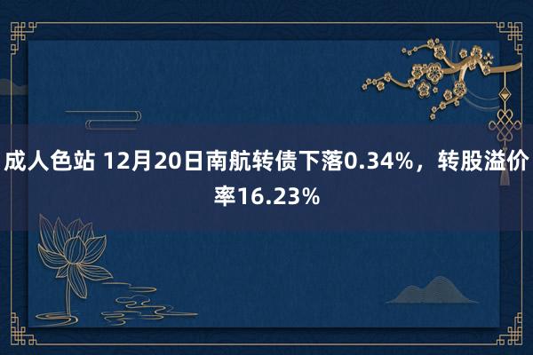 成人色站 12月20日南航转债下落0.34%，转股溢价率16.23%