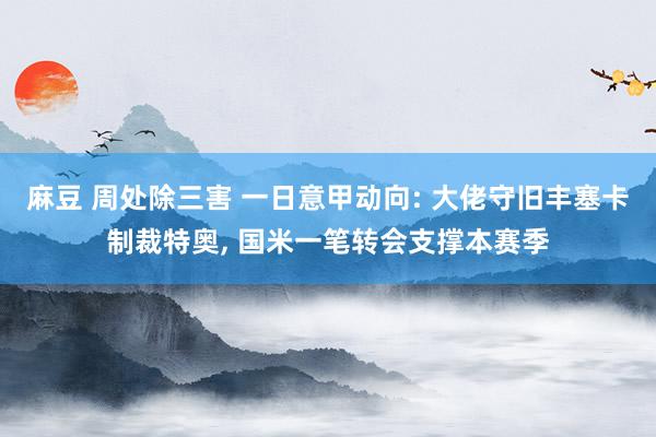 麻豆 周处除三害 一日意甲动向: 大佬守旧丰塞卡制裁特奥, 国米一笔转会支撑本赛季