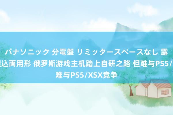 パナソニック 分電盤 リミッタースペースなし 露出・半埋込両用形 俄罗斯游戏主机踏上自研之路 但难与PS5/XSX竞争