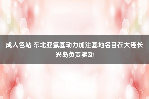 成人色站 东北亚氢基动力加注基地名目在大连长兴岛负责驱动