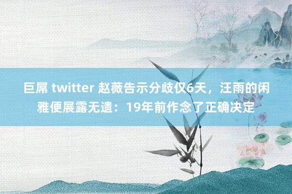 巨屌 twitter 赵薇告示分歧仅6天，汪雨的闲雅便展露无遗：19年前作念了正确决定