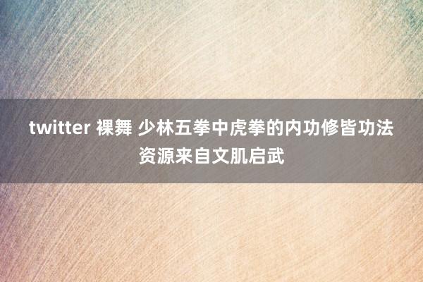 twitter 裸舞 少林五拳中虎拳的内功修皆功法资源来自文肌启武