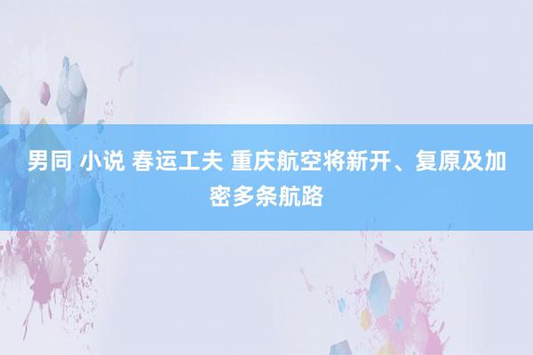 男同 小说 春运工夫 重庆航空将新开、复原及加密多条航路