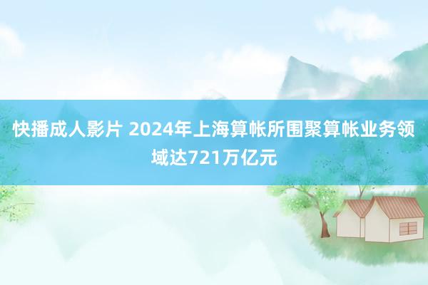 快播成人影片 2024年上海算帐所围聚算帐业务领域达721万亿元