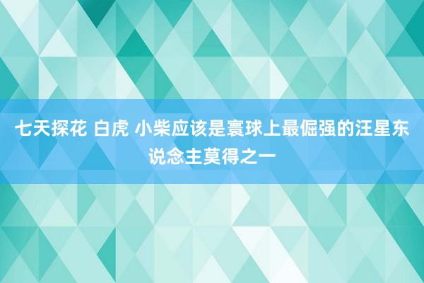 七天探花 白虎 小柴应该是寰球上最倔强的汪星东说念主莫得之一