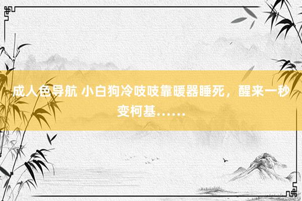 成人色导航 小白狗冷吱吱靠暖器睡死，醒来一秒变柯基……