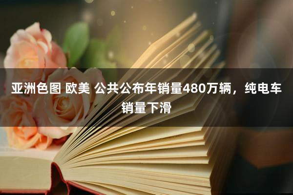 亚洲色图 欧美 公共公布年销量480万辆，纯电车销量下滑