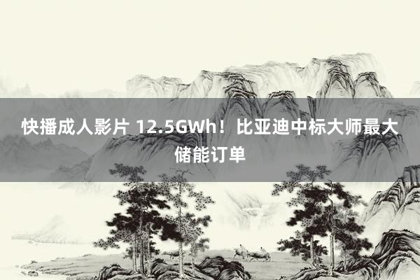 快播成人影片 12.5GWh！比亚迪中标大师最大储能订单