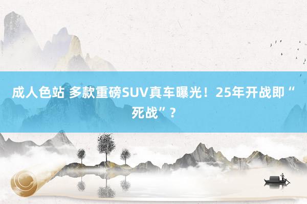 成人色站 多款重磅SUV真车曝光！25年开战即“死战”？