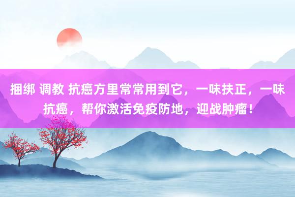 捆绑 调教 抗癌方里常常用到它，一味扶正，一味抗癌，帮你激活免疫防地，迎战肿瘤！