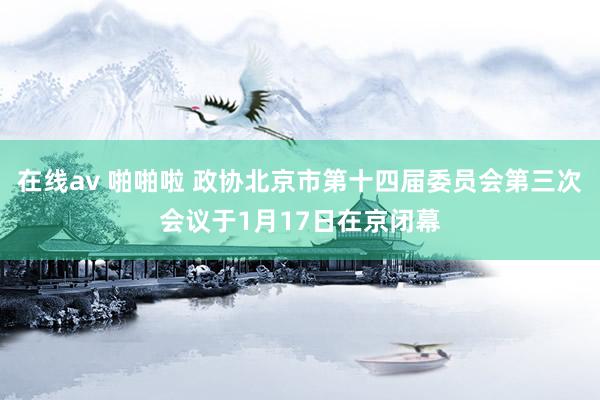 在线av 啪啪啦 政协北京市第十四届委员会第三次会议于1月17日在京闭幕