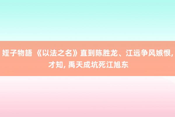姪子物語 《以法之名》直到陈胜龙、江远争风嫉恨, 才知, 禹天成坑死江旭东